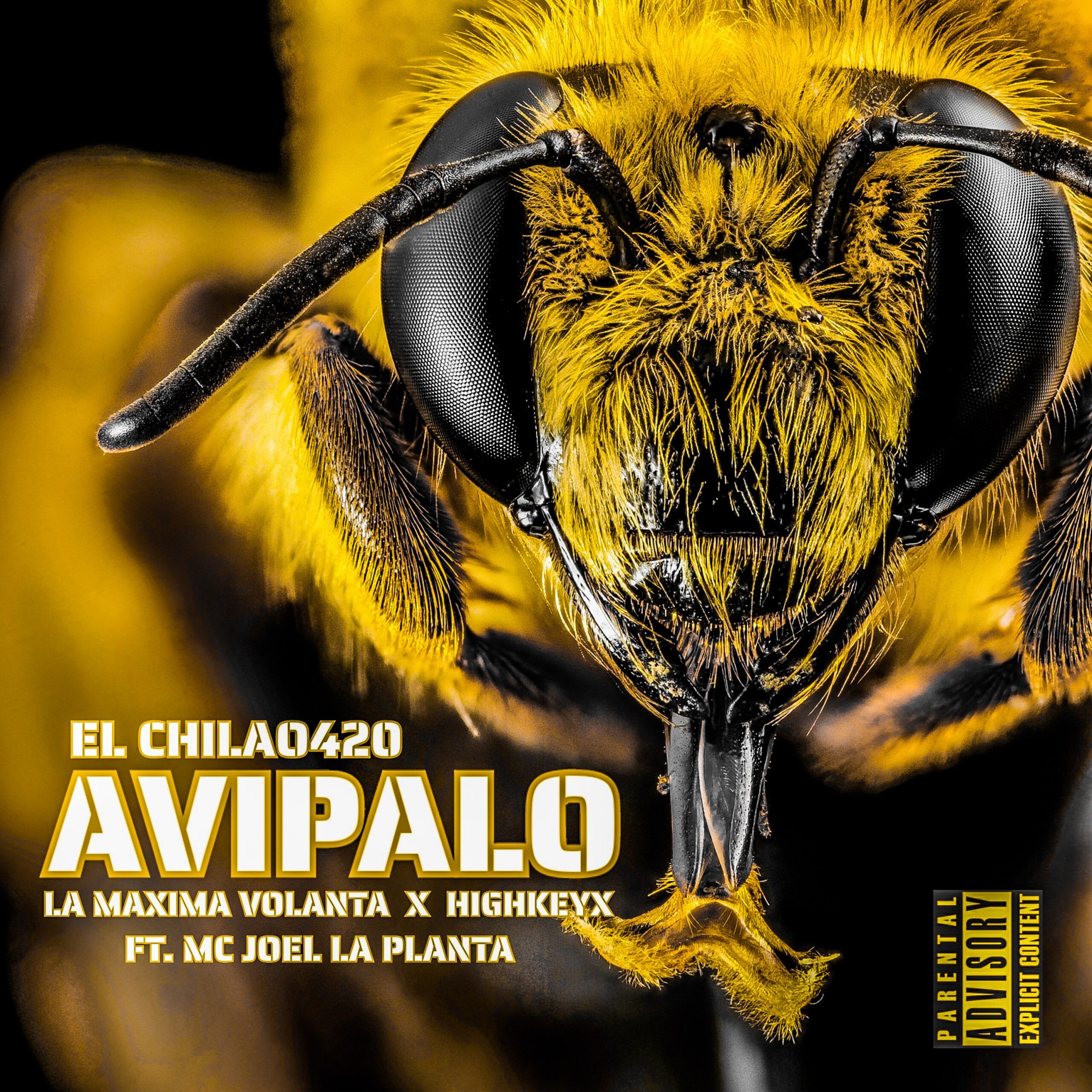 El Chilao420, Abusador, Avipalo, Bullin47, Bum Bum, Solo E Group, Jose King Pena, Solo E Group LLC